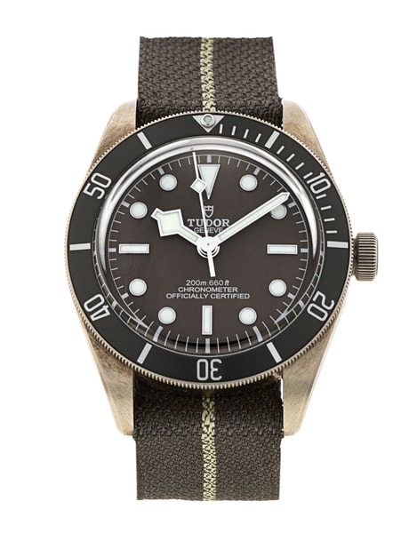 Tudor Black Bay 58 M79010SG-0002